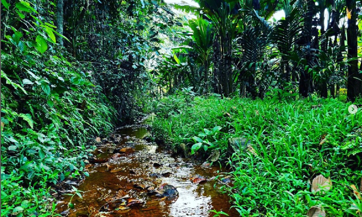 Photo of Outdoor in Muvattupuzha