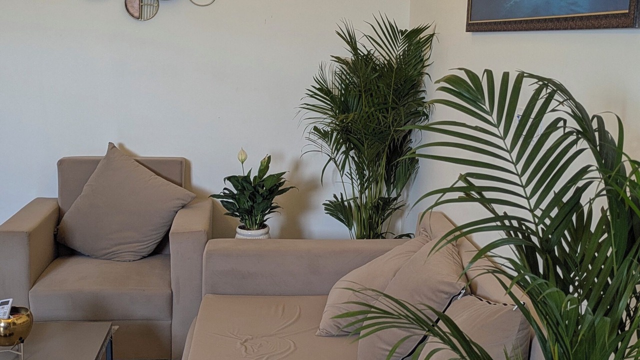 Photo of Livingroom in Sanganer