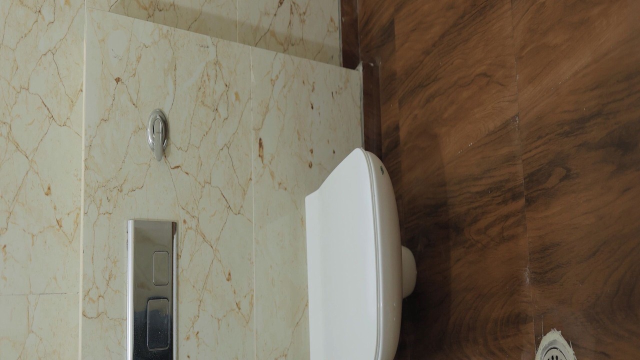 Photo of Bathroom in Pashim Vihar