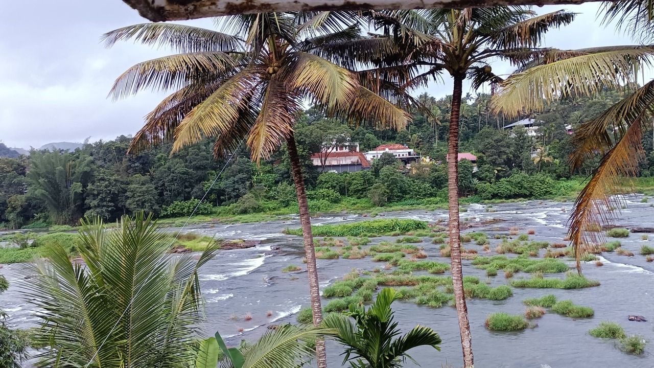 Photo of Others in Elappara