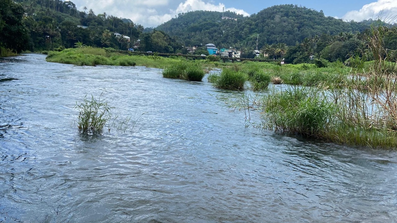 Photo of Others in Elappara