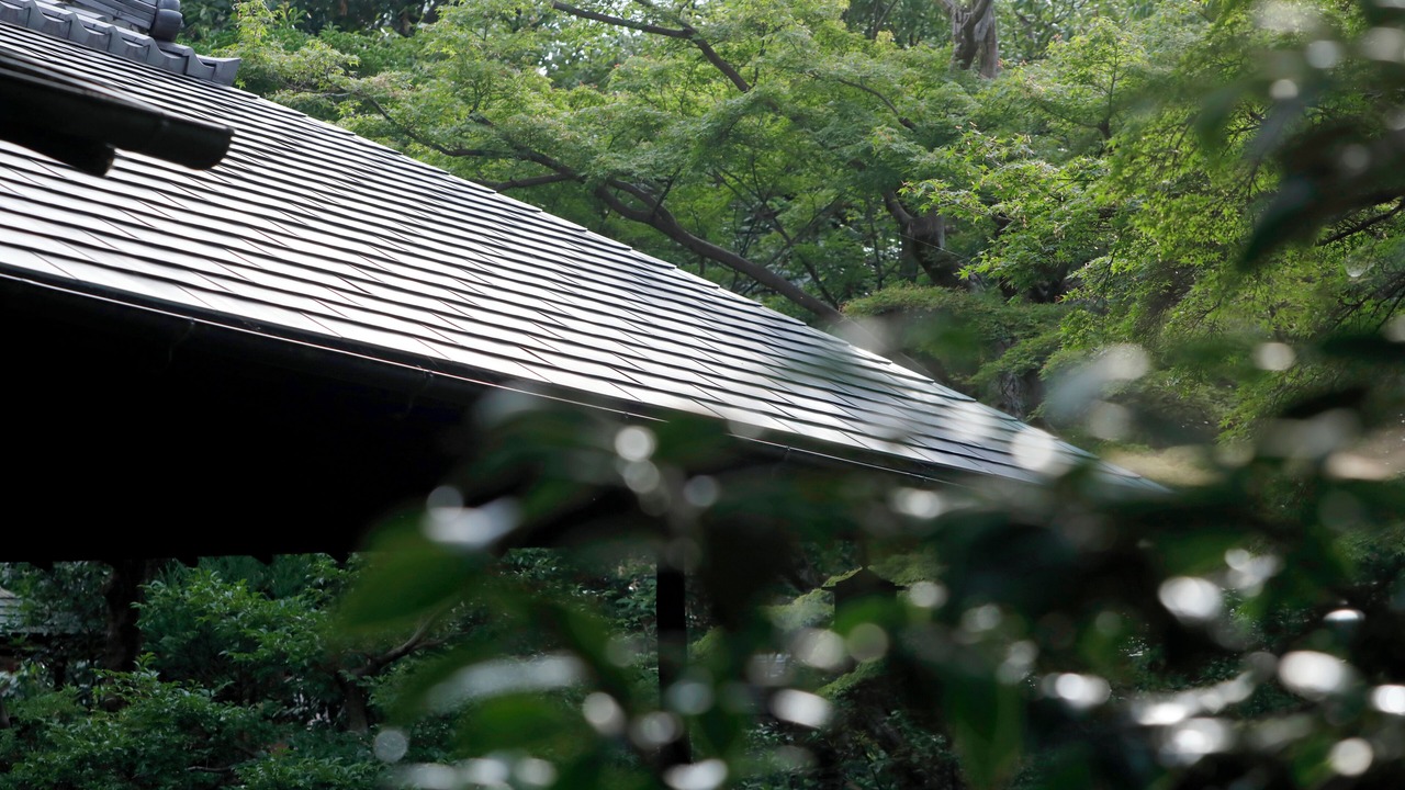 Photo of Others in Central Kyoto