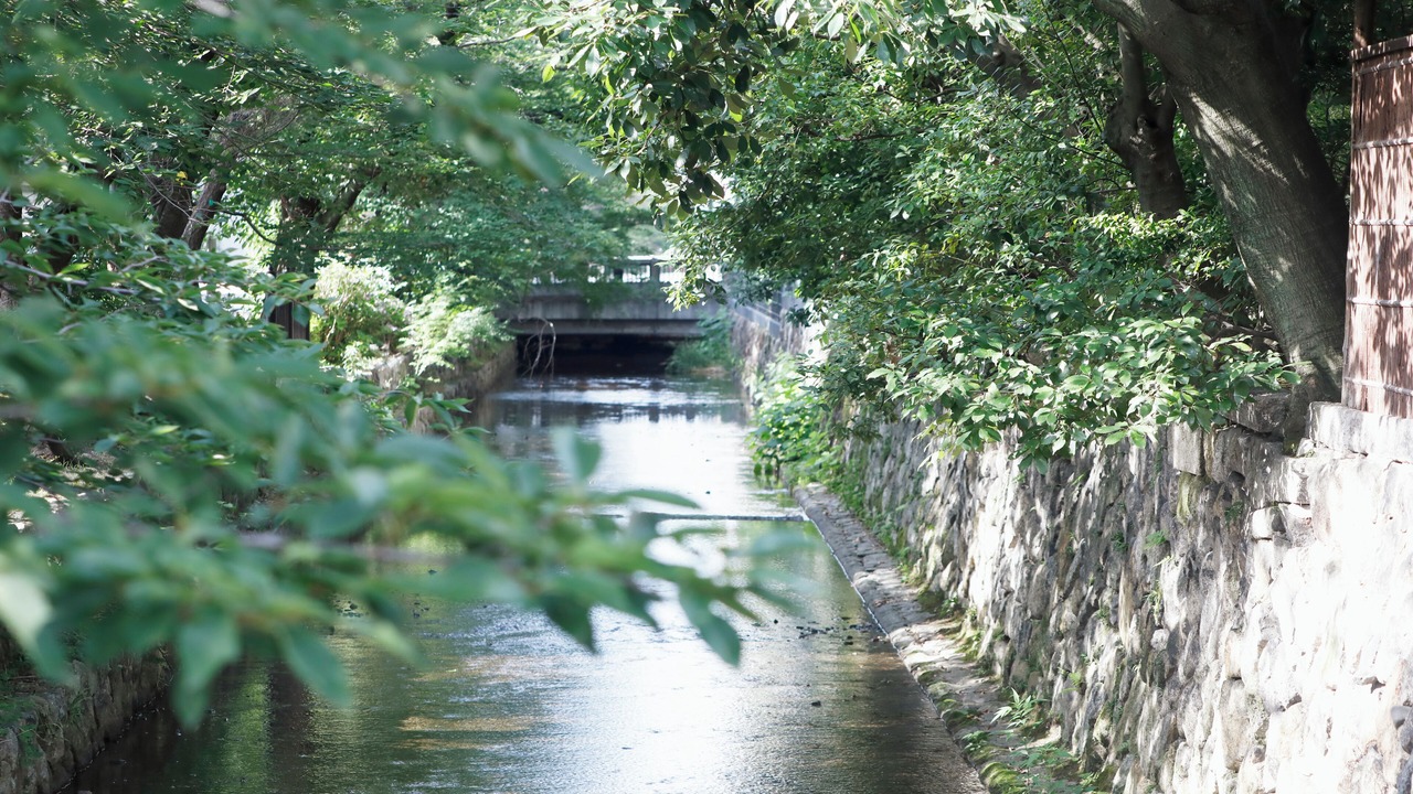 Photo of Others in Central Kyoto