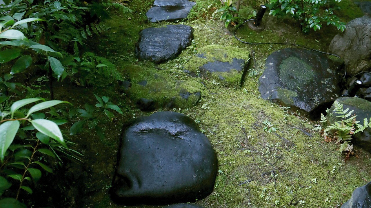 Photo of Outdoor in Central Kyoto