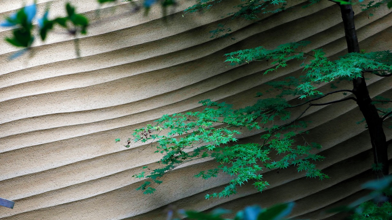 Photo of Outdoor in Central Kyoto