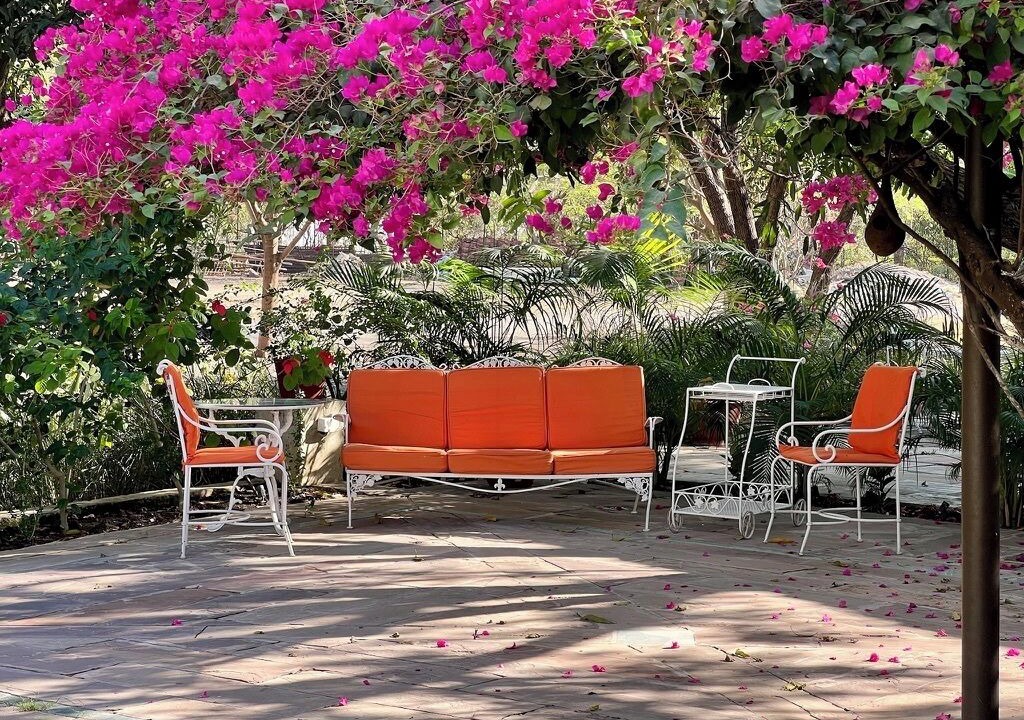 Photo of Patio Balcony in Bhopal