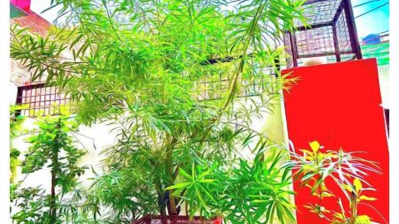 Photo of Outdoor in Faizabad