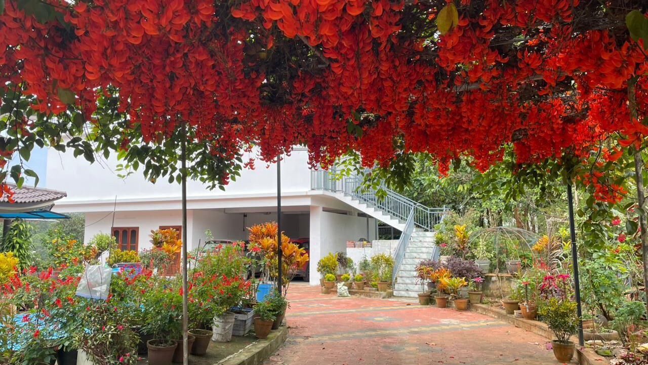 Photo of Outdoor in Devikolam