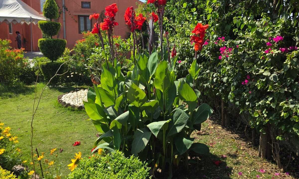Photo of Outdoor in Jabalpur