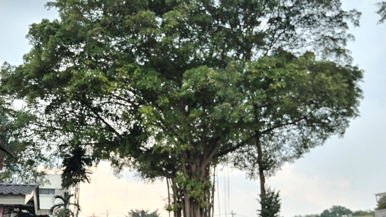 Photo of Outdoor in Titiwangsa
