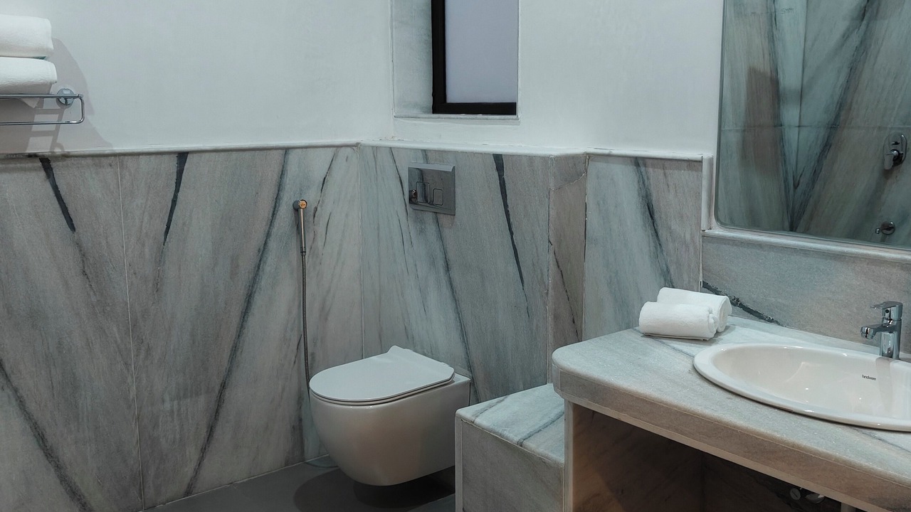 Photo of Bathroom in Udaipur District