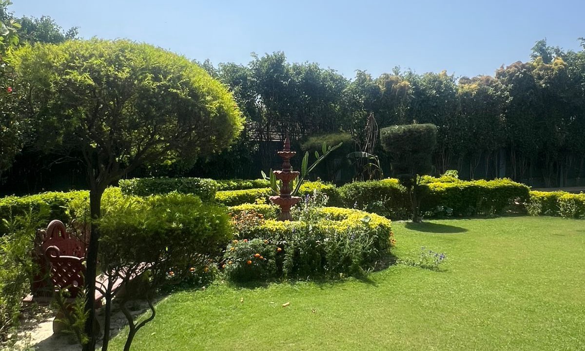 Photo of Outdoor in Noida