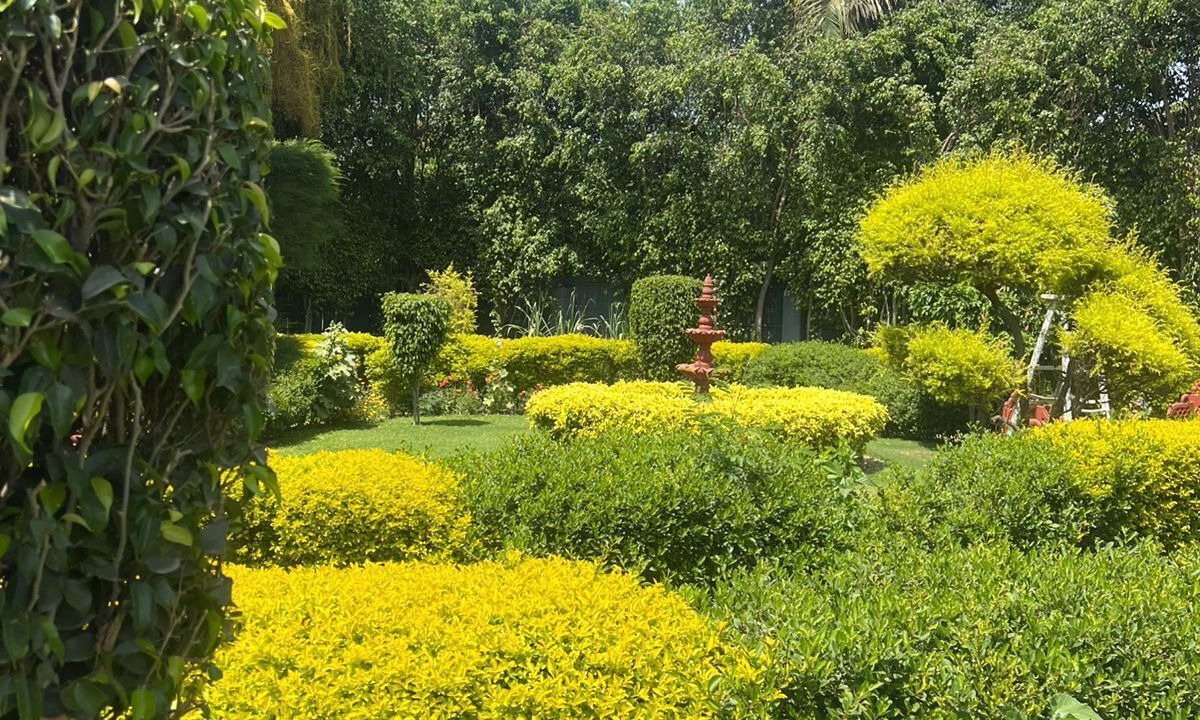 Photo of Outdoor in Noida
