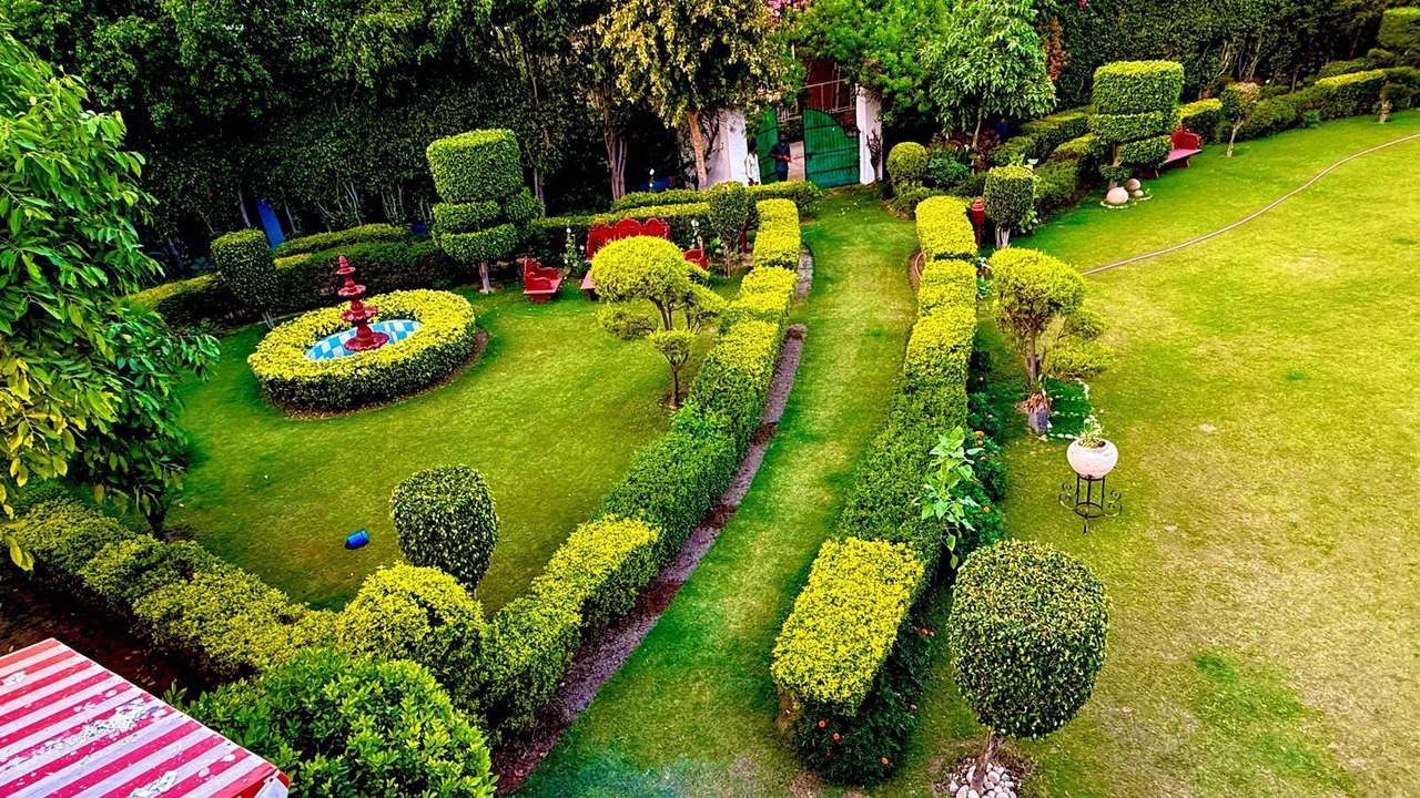 Photo of Outdoor in Noida
