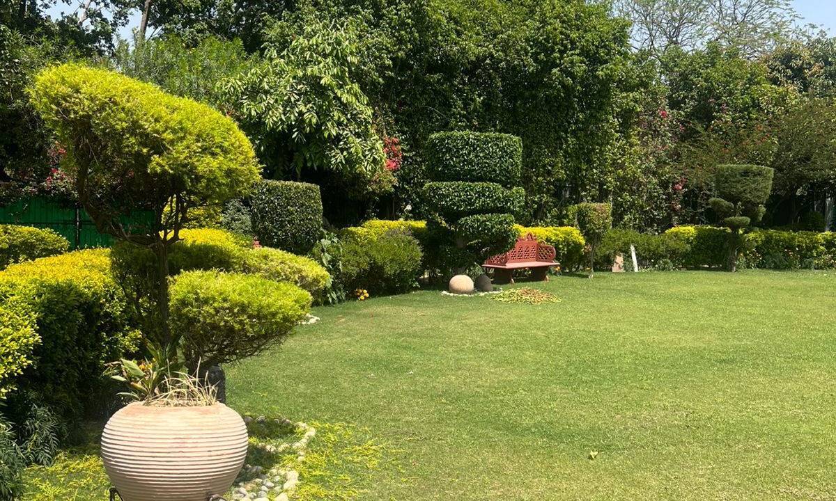 Photo of Outdoor in Noida