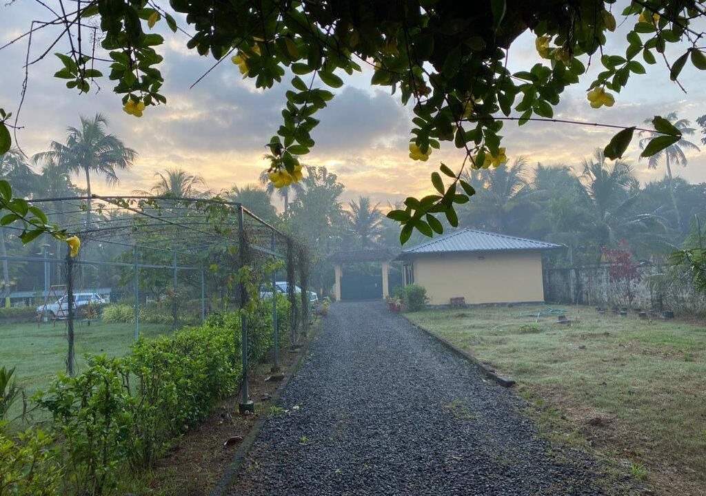 Photo of Outdoor in Andhakaranazhy