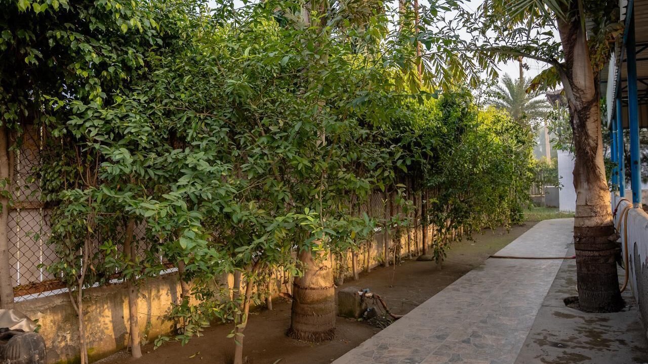 Photo of Outdoor in Faridabad