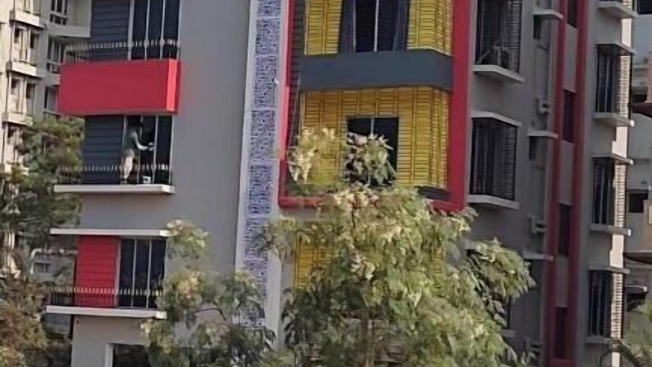 Photo of Outdoor in New Town