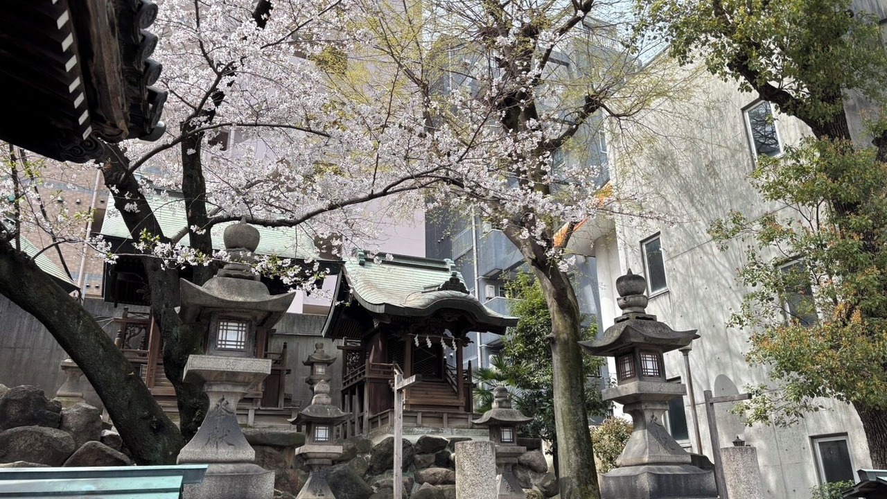 Photo of Others in Kitahama