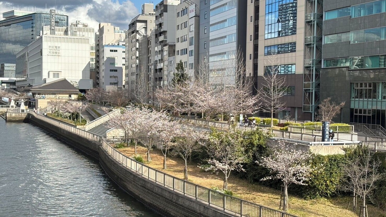 Photo of Others in Kitahama