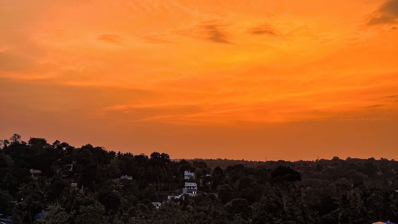 Photo of Outdoor in Thiruvananthapuram