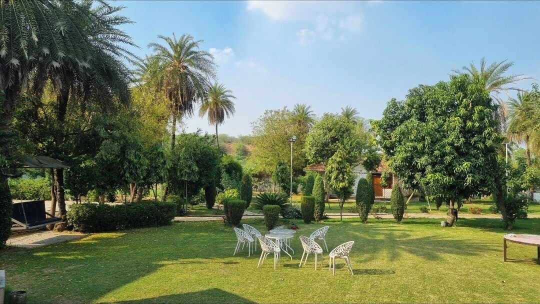Photo of Patio Balcony in Faridabad