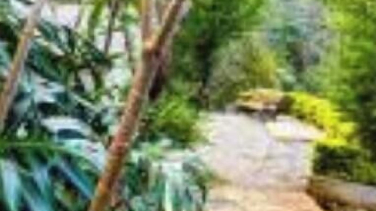 Photo of Outdoor in Kotagiri