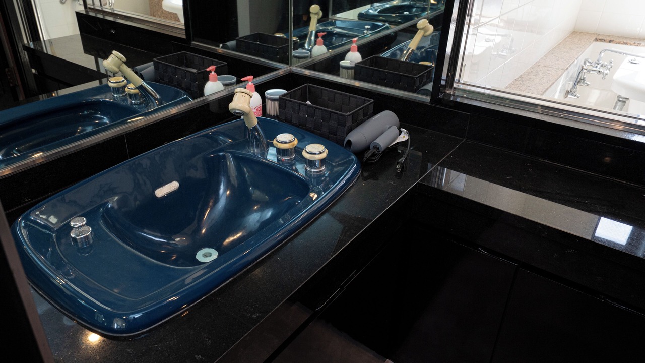 Photo of Bathroom in Fukushima