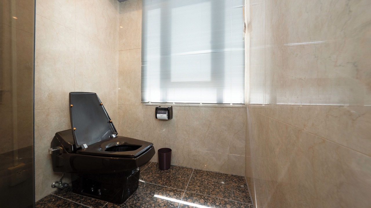 Photo of Bathroom in Fukushima