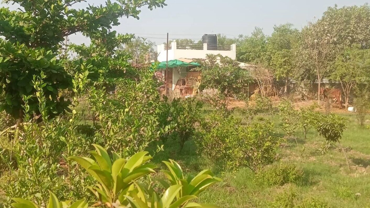 Photo of Outdoor in Gandhinagar