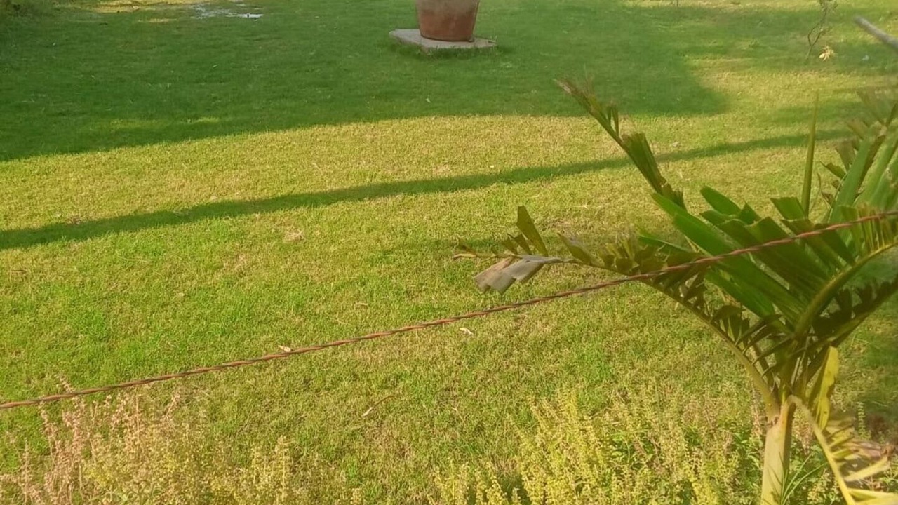 Photo of Outdoor in Gandhinagar