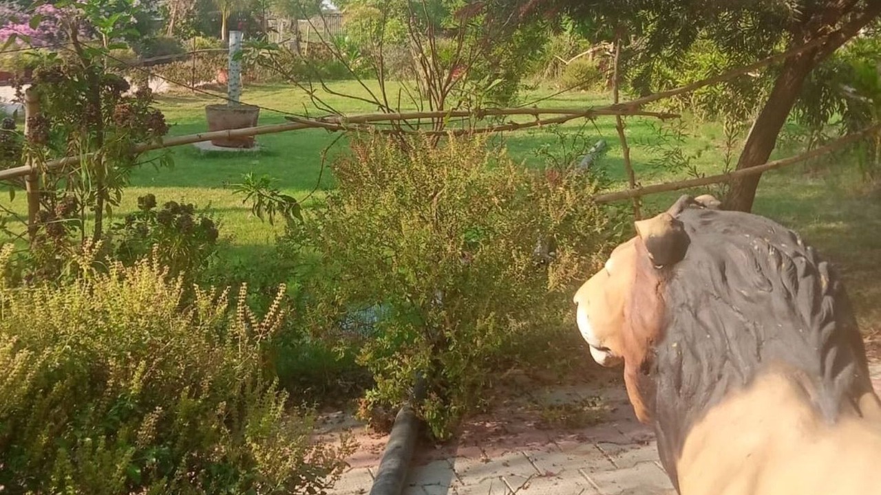Photo of Others in Gandhinagar