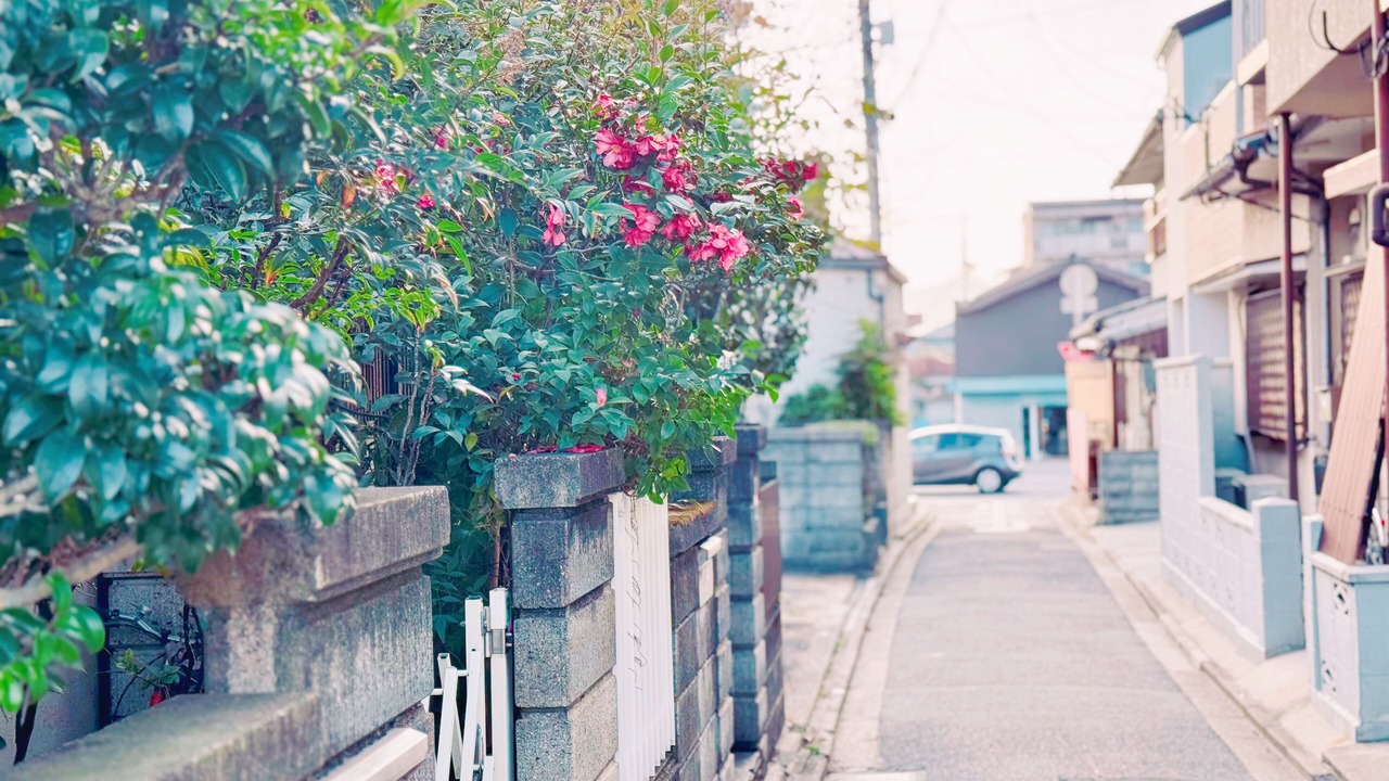 Photo of Outdoor in Fushimi