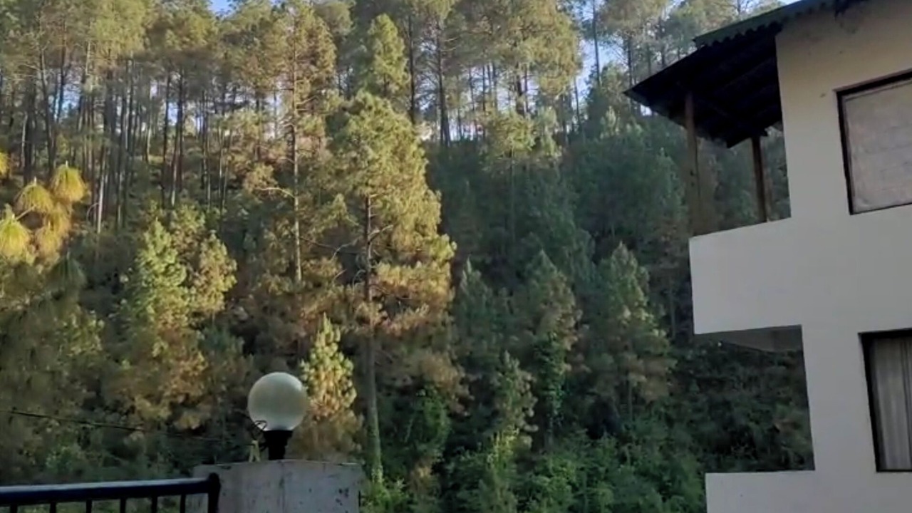 Photo of Outdoor in Sukha
