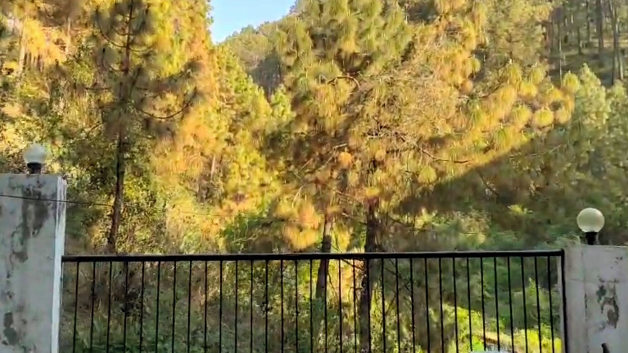 Photo of Outdoor in Sukha