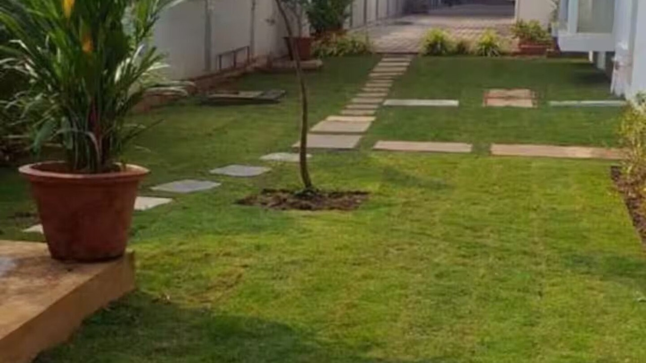 Photo of Outdoor in Siolim