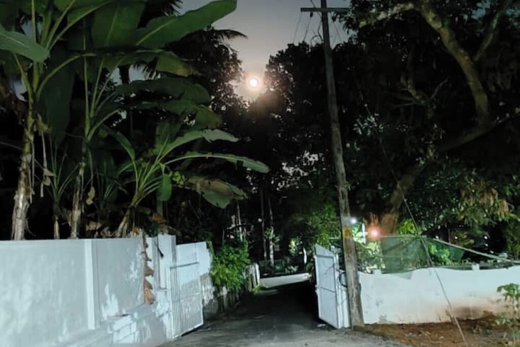 Photo of Outdoor in Kottayam