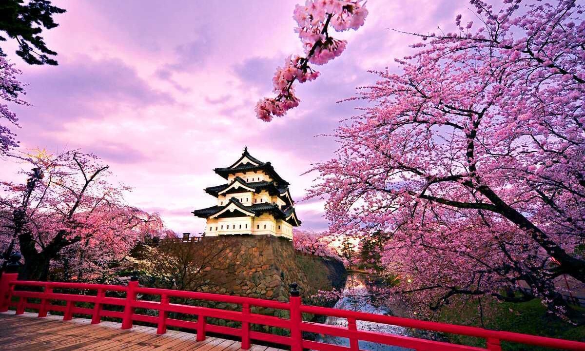 Photo of Others in Minami