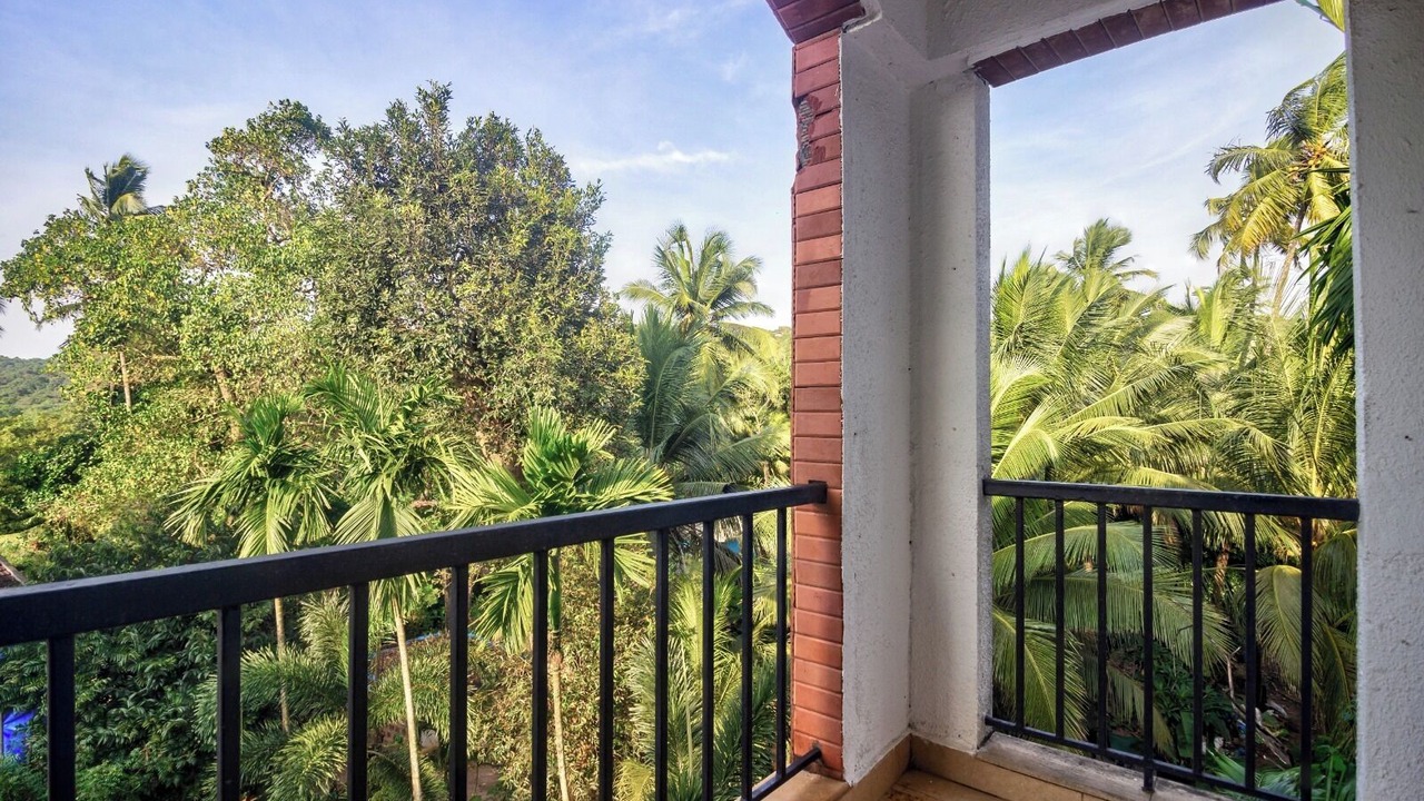 Photo of Outdoor in Arpora