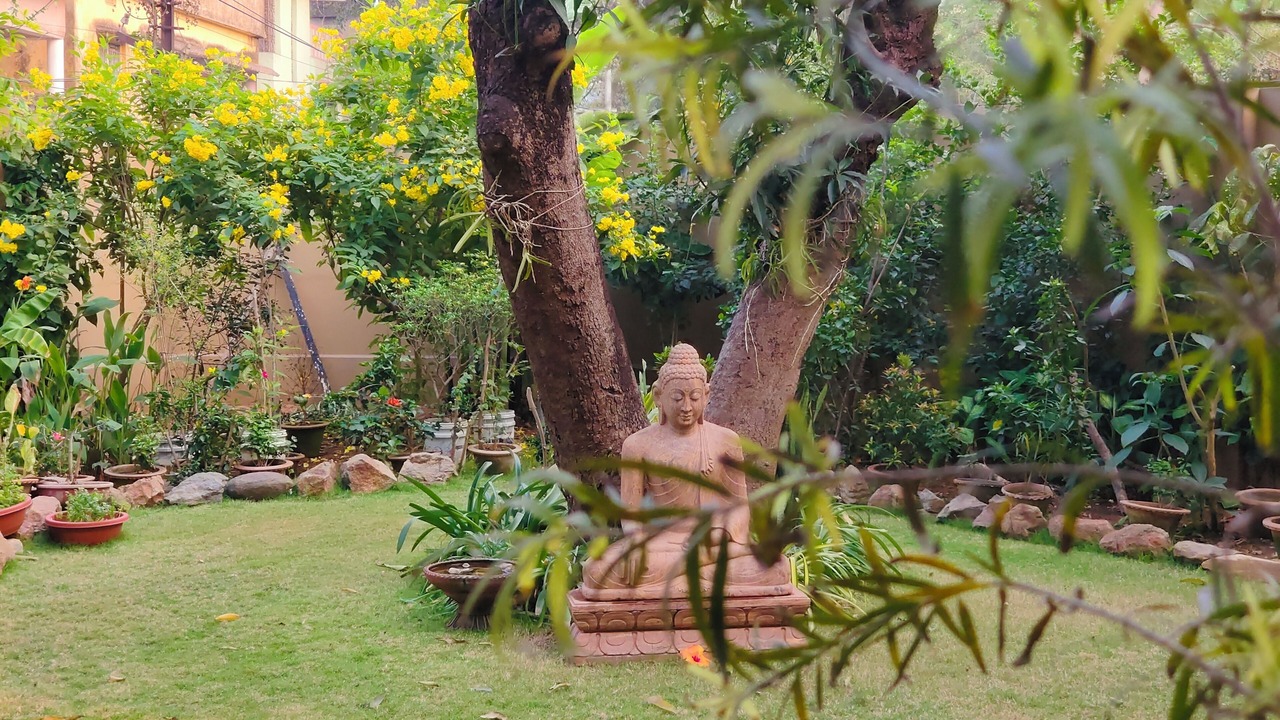 Photo of Outdoor in Sambalpur
