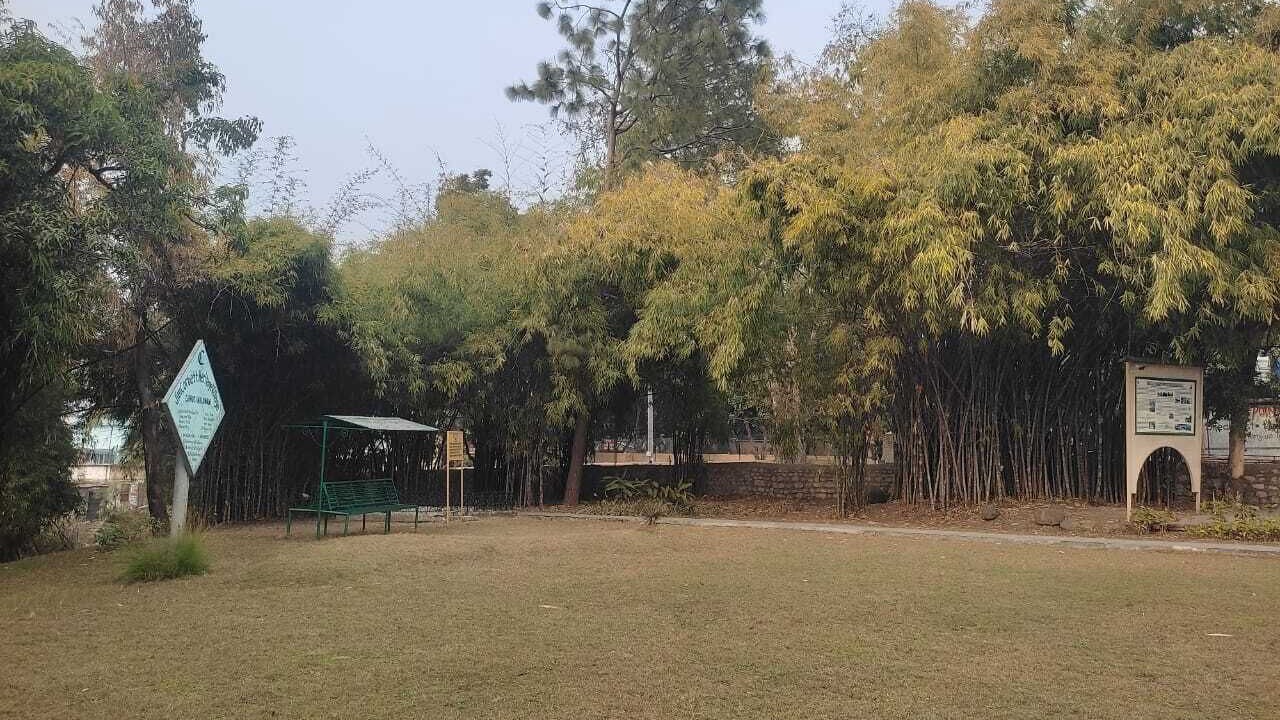 Photo of Others in Kaladhungi