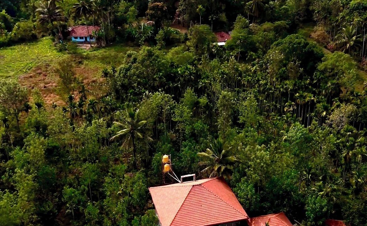 Photo of Others in Madapura