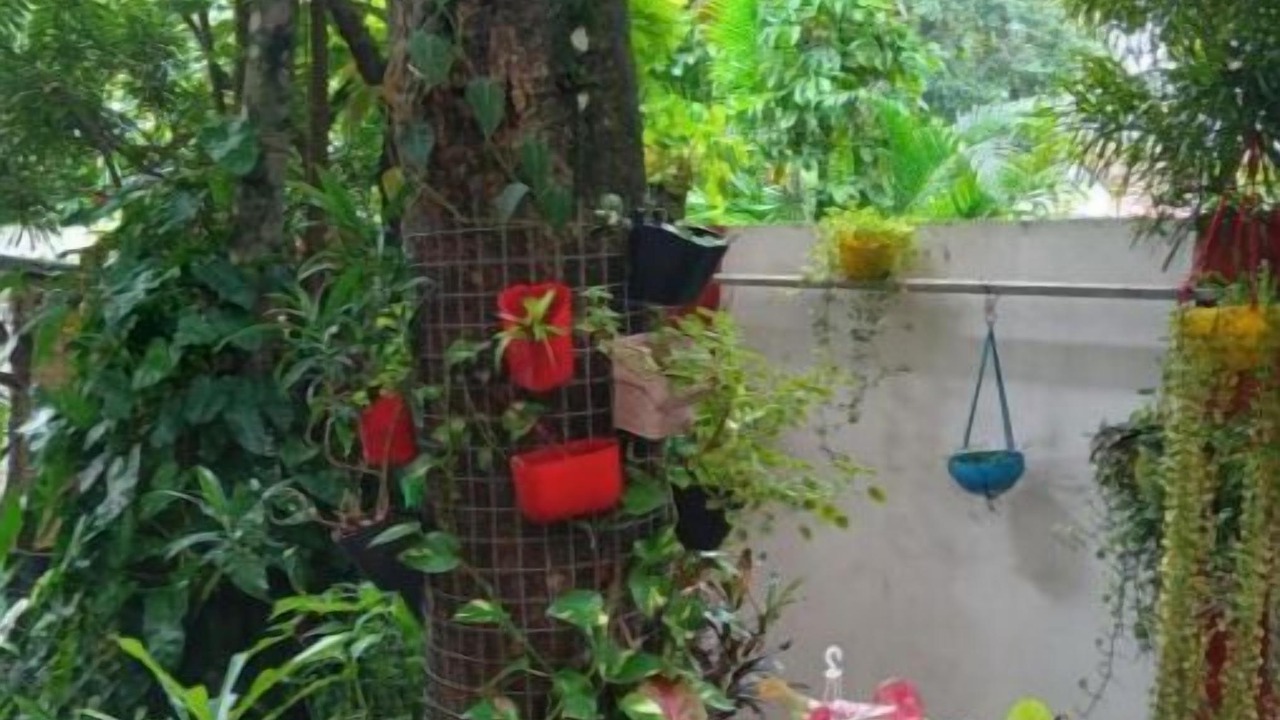 Photo of Outdoor in Fort Kochi