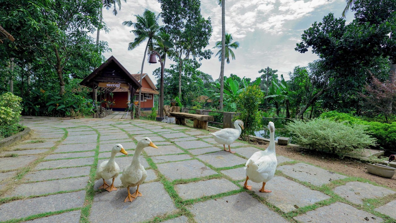 Photo of Outdoor in Chirayinkil