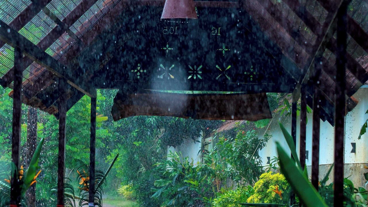 Photo of Outdoor in Chirayinkil