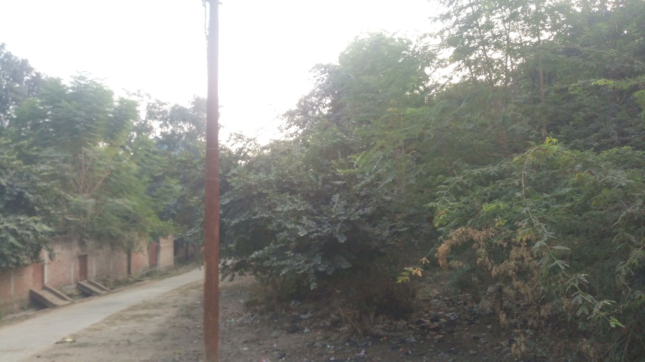 Photo of Others in Jhusi