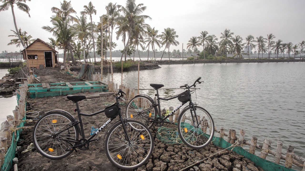 Photo of Outdoor in Kumbalam