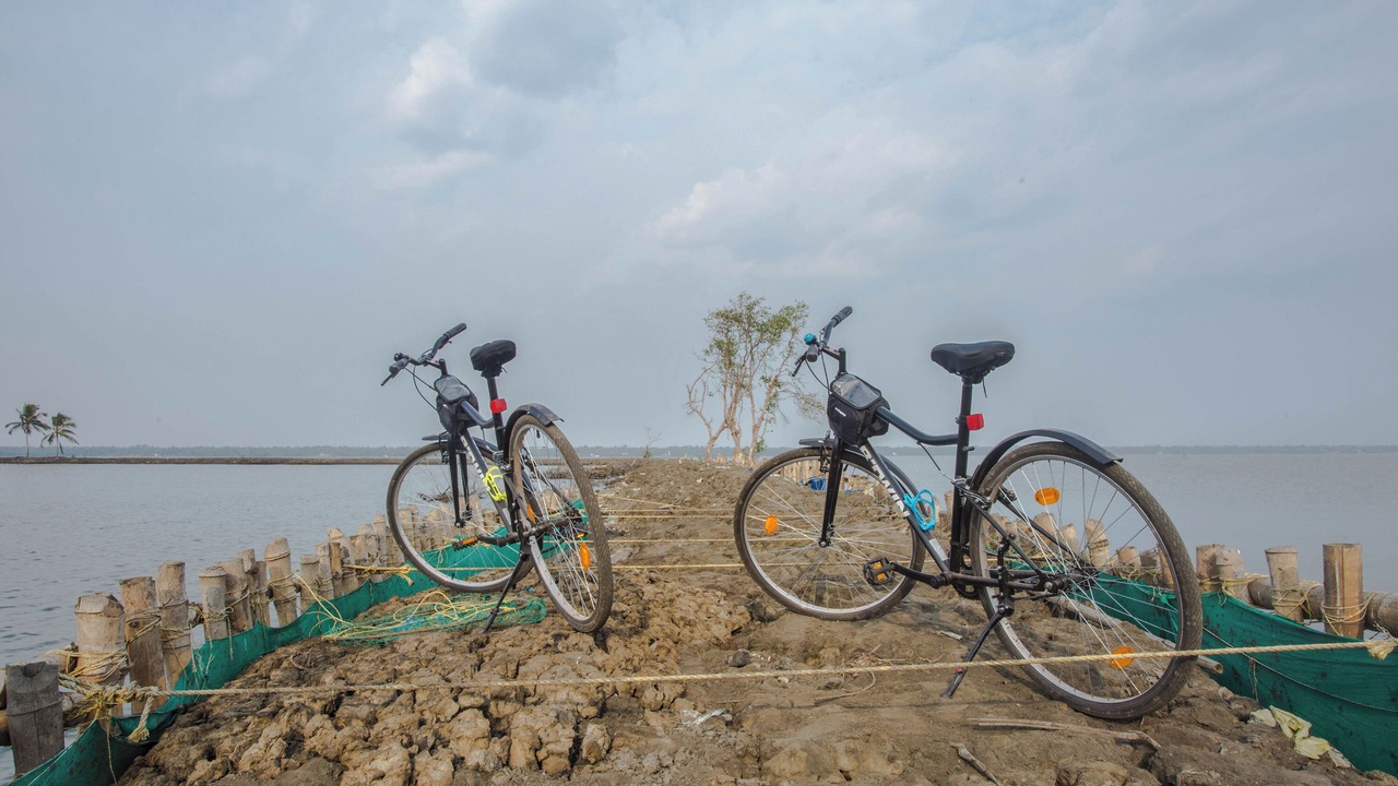 Photo of Outdoor in Kumbalam