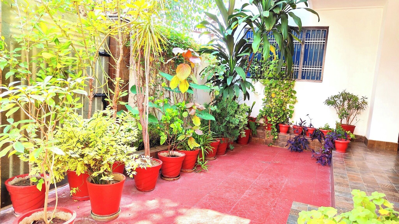 Photo of Outdoor in Udaipur