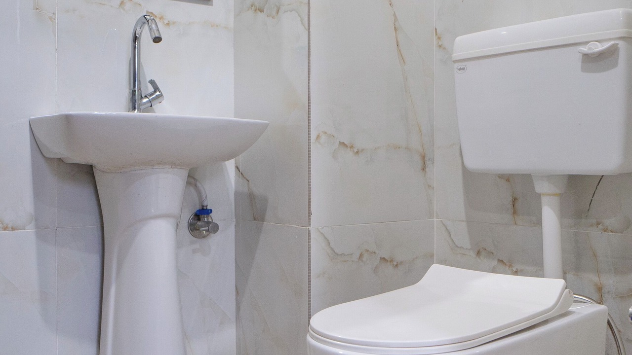 Photo of Bathroom in Udaipur City Centre